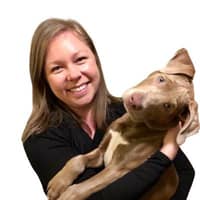 Sitter Profile Image: Katie P.