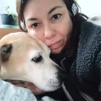 Sitter Profile Image: Airica c.