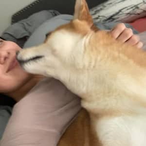 Sitter Profile Image: Tania G.