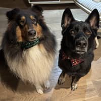 Sitter Profile Image: Lori C.