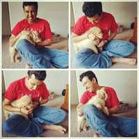 Sitter Profile Image: Shashank K.