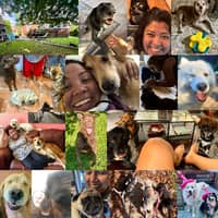 Sitter Profile Image: Melina, Maria & Marina T.