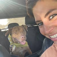 Sitter Profile Image: Anna D.