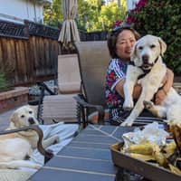 Sitter Profile Image: Yoko M.