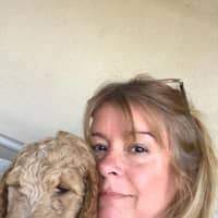 Sitter Profile Image: Lori T.