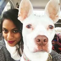 Sitter Profile Image: Maddy A.