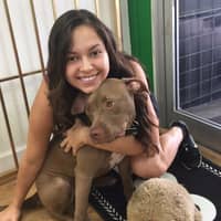 Sitter Profile Image: Andreina C.