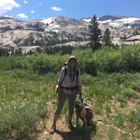 Sitter Profile Image: Coralie D.