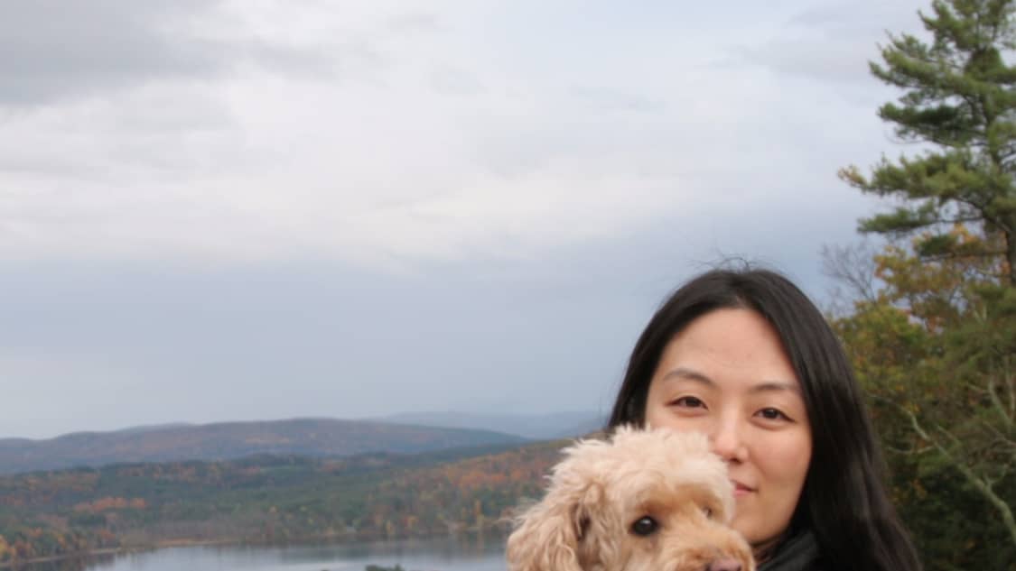 Best Dog Boarding In Manchester Nh Rover Com