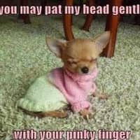 Sitter Profile Image: Jennifer E.