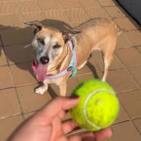 Sitter Profile Image: Alexa T.