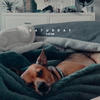 Sitter Profile Image: Amber S.