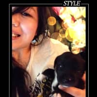 Sitter Profile Image: Yang Y.