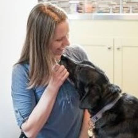 Best Dog Boarding In Hillsboro Or Rover Com