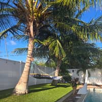 Sitter Profile Image: Larisa S.