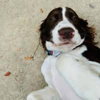 Sitter Profile Image: Erin B.