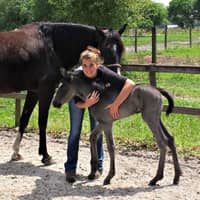 Sitter Profile Image: Shelby R.