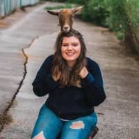 Sitter Profile Image: Felicity V.