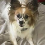 Sitter Profile Image: Sherry S.