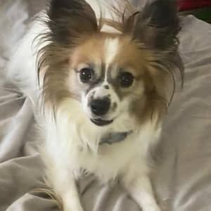 Sitter Profile Image: Sherry S.