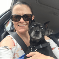 Best Dog Walkers In Saint Peters Mo Rover Com