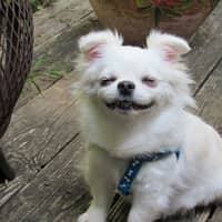 Sitter Profile Image: Katherine M.