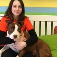 Sitter Profile Image: Kellie C.