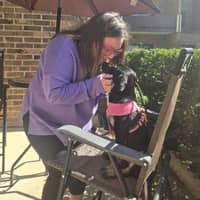 Sitter Profile Image: Ashley B.