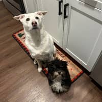 Sitter Profile Image: Anita L.