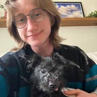 Sitter Profile Image: Mitch T.