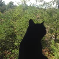 Sitter Profile Image: Ronda J.