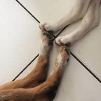 Sitter Profile Image: Net F.