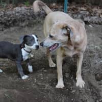 Sitter Profile Image: Jill S.