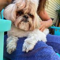 Sitter Profile Image: Jeanne G.