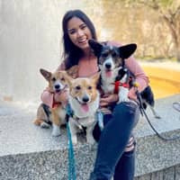 Sitter Profile Image: Diamond D.