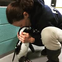 Sitter Profile Image: Crystal A.