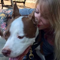 Sitter Profile Image: Alex B.