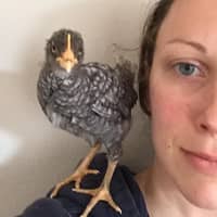 Sitter Profile Image: Kristin D.