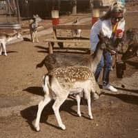 Sitter Profile Image: Mary ann K.