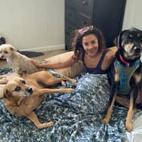 Sitter Profile Image: Lucianna C.