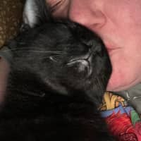 Sitter Profile Image: Nicole J.