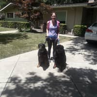 Sitter Profile Image: Ann G.