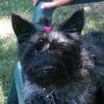 Sitter Profile Image: Michelle S.