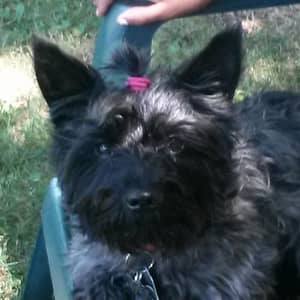 Sitter Profile Image: Michelle S.