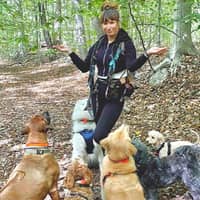 Sitter Profile Image: Brianna C.