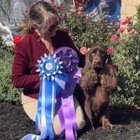 Sitter Profile Image: Kylie S.