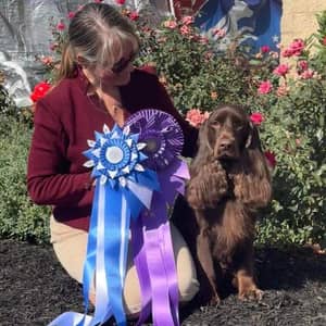 Sitter Profile Image: Kylie S.