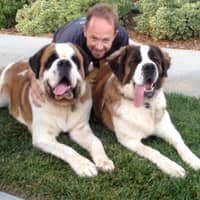 Sitter Profile Image: Scott D.