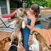 Sitter Profile Image: Alex Z.