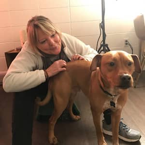 Sitter Profile Image: Robyn O.